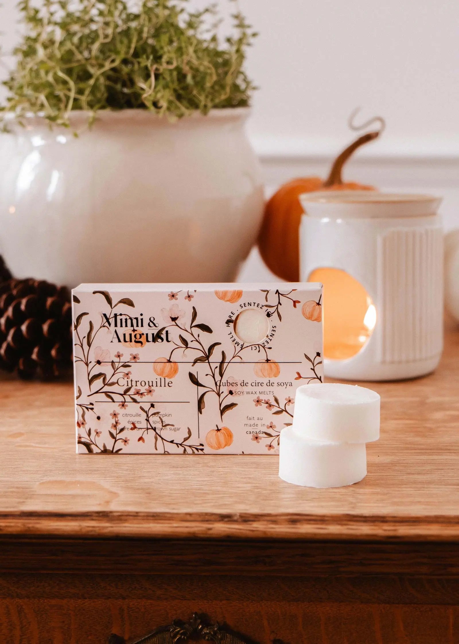 Soy Wax Melts - Citrouille Mimi & August