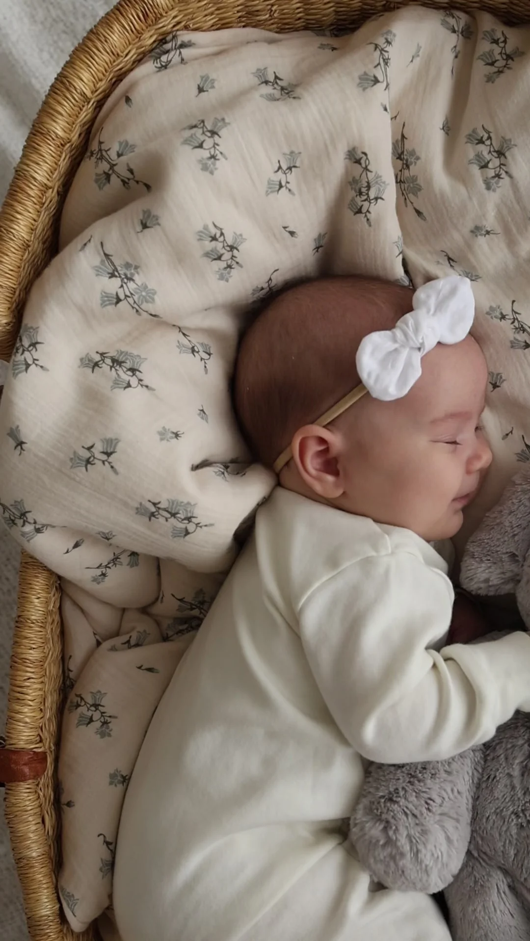 Plush - Olive the Grey Elephant - Snuggle Bunnies