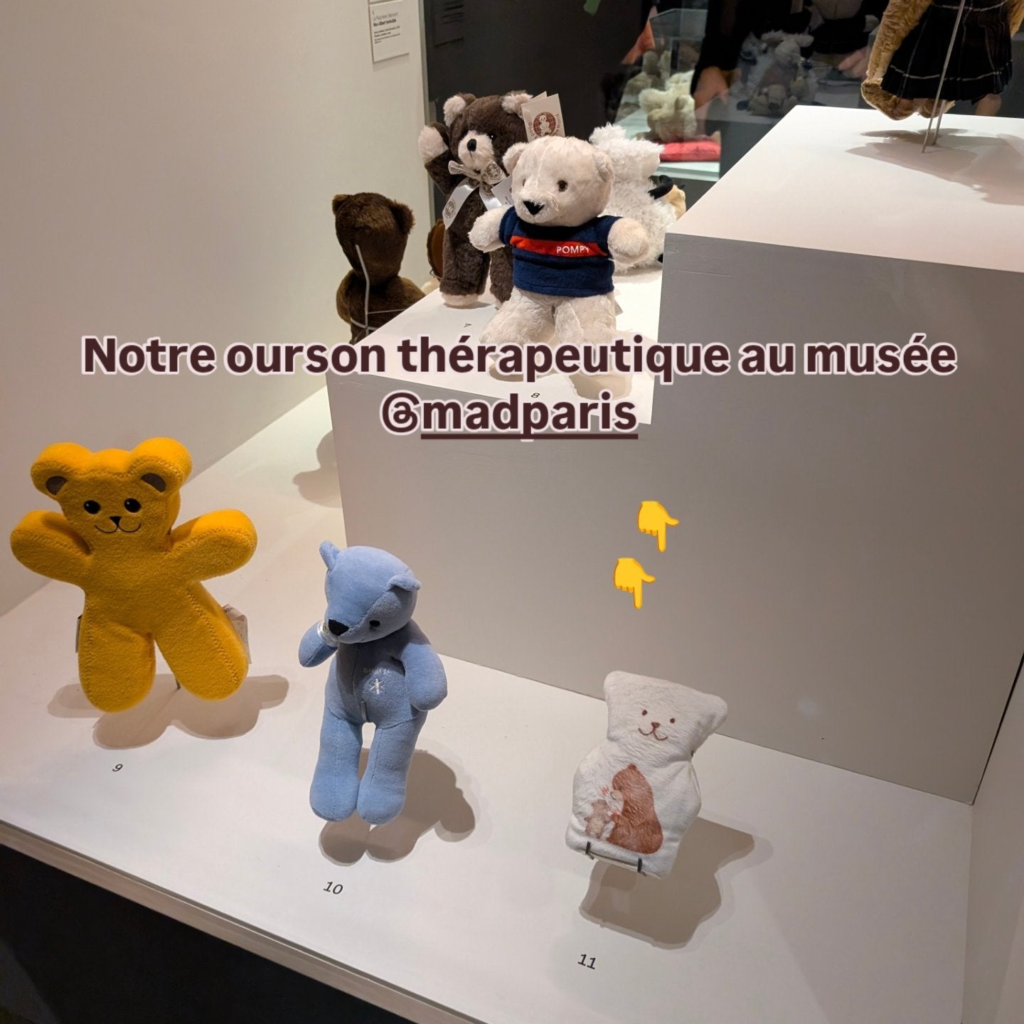 Grand ours thérapeutique - Musée (6 ans +)