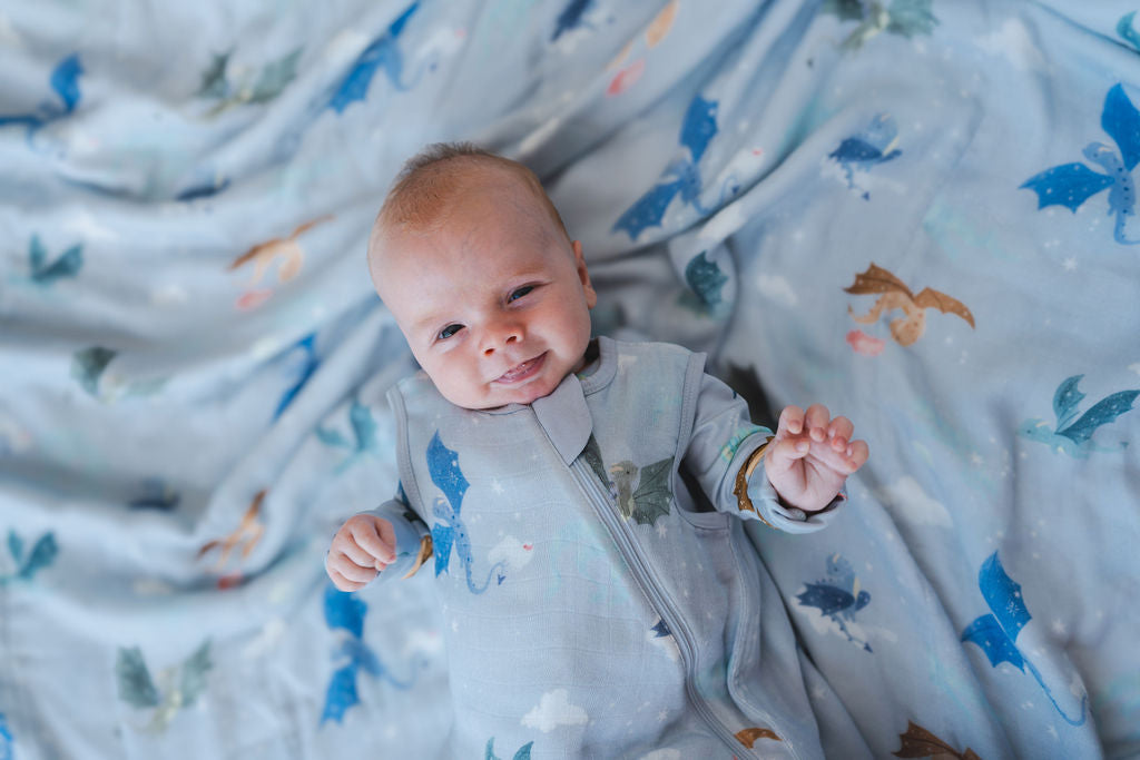 Sleep Bag 1.0 TOG - Magical Dragons