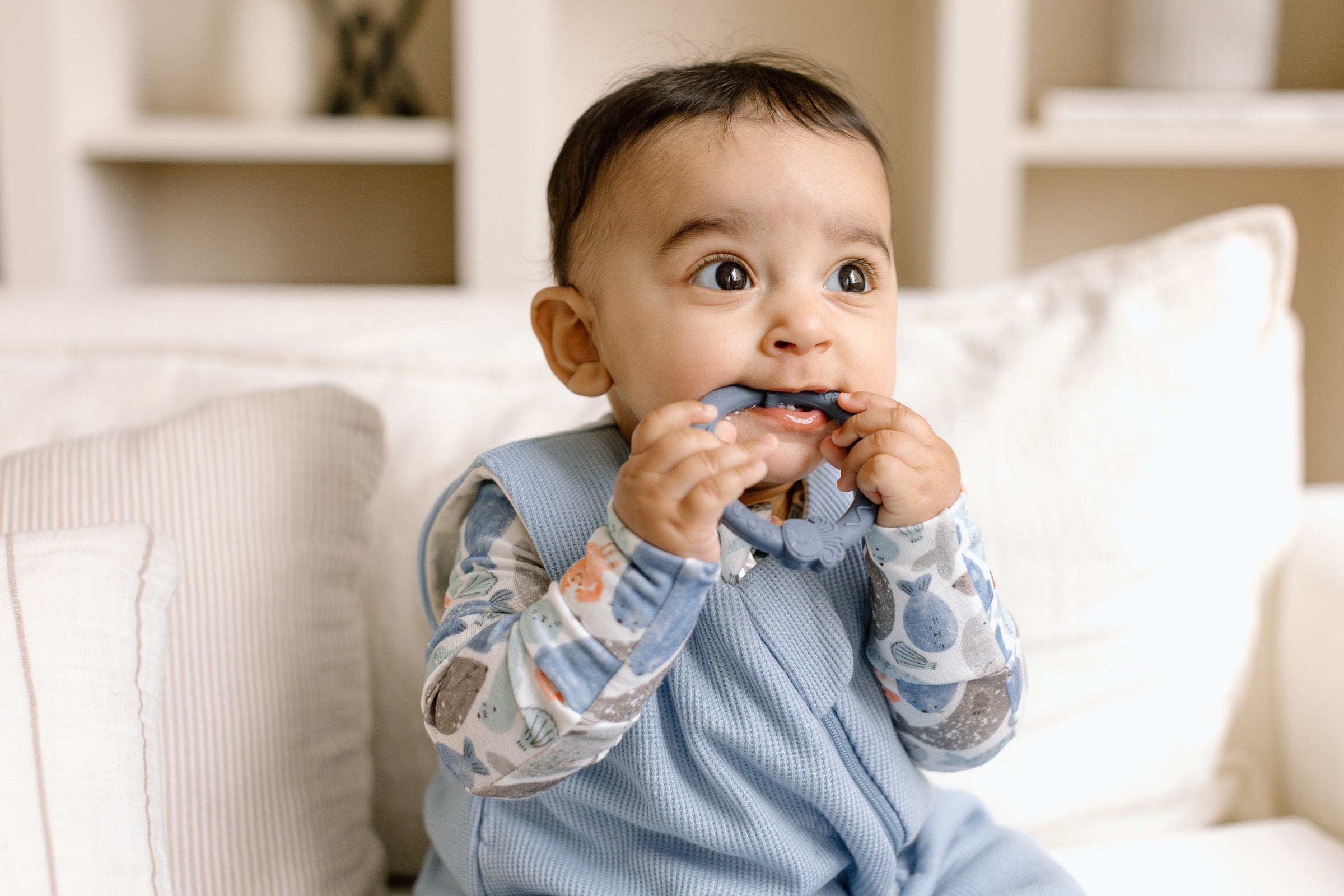 Wild Teether Ring Set - Blue Fog
